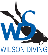 Wilson Diving – Scuba and Snorkel Centre, Scuba Diving Lessons